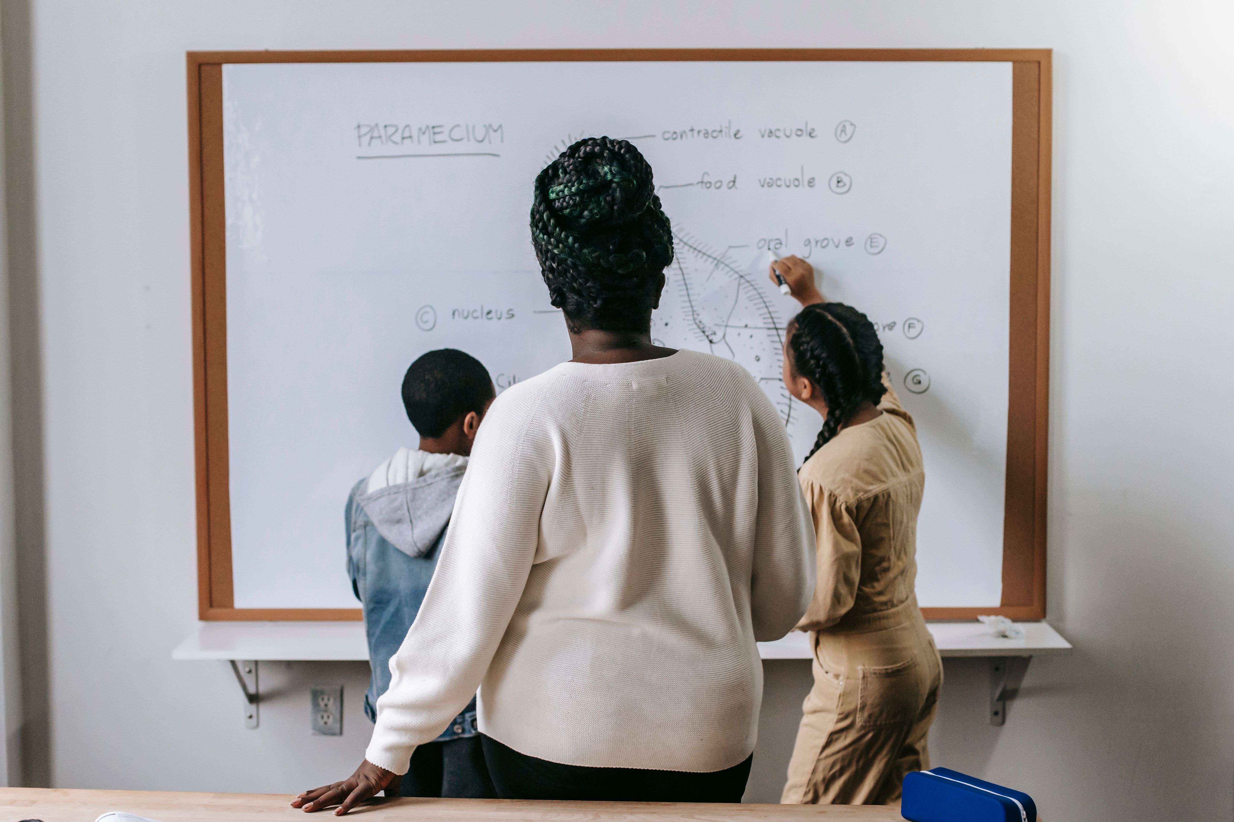 Voice Bot for Education:Solving the Student Support Crisis